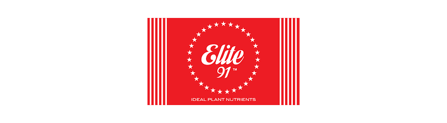 ELITE 91