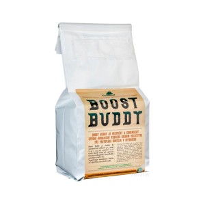 BOOST BUDDY