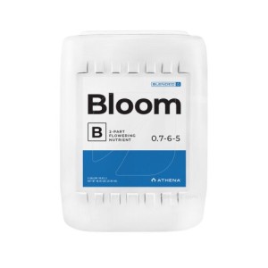 Bloom A+B